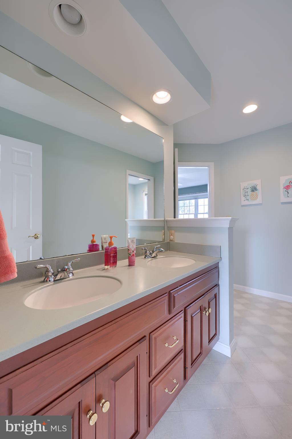 339 Harvest Drive Lititz, PA 17543 - Photo 43 of 69 a bathroom with a sink and a mirror