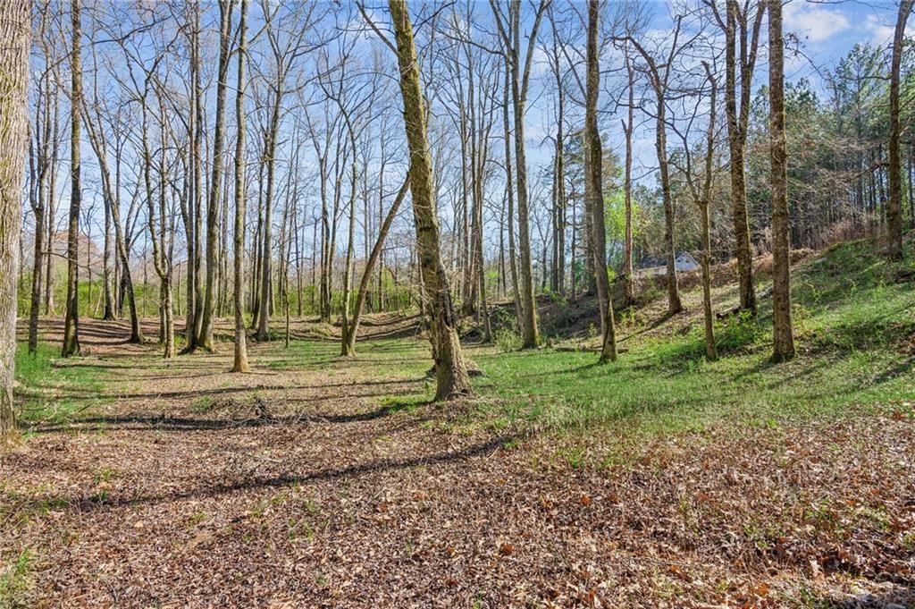 11637 Brown Bridge Road Covington, GA 30016 - Photo 66 of 68