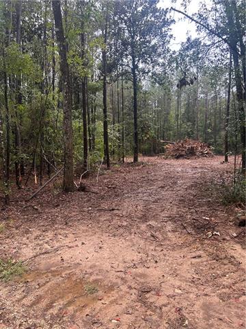 Tbd South Bennett Road Independence, LA 70443 - Photo 1 of 6 Gallery Image 1