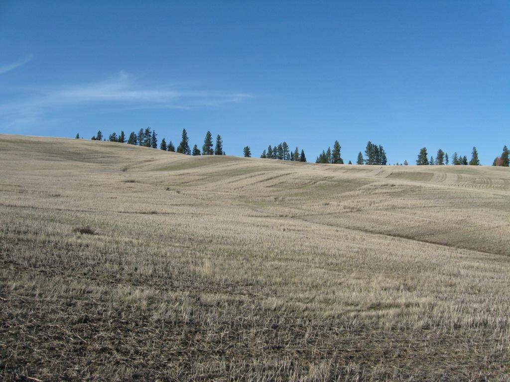 8822 West Jensen Road Cheney, WA 99004 - Photo 14 of 20