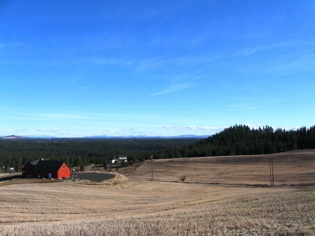 8822 West Jensen Road Cheney, WA 99004 - Photo 3 of 20