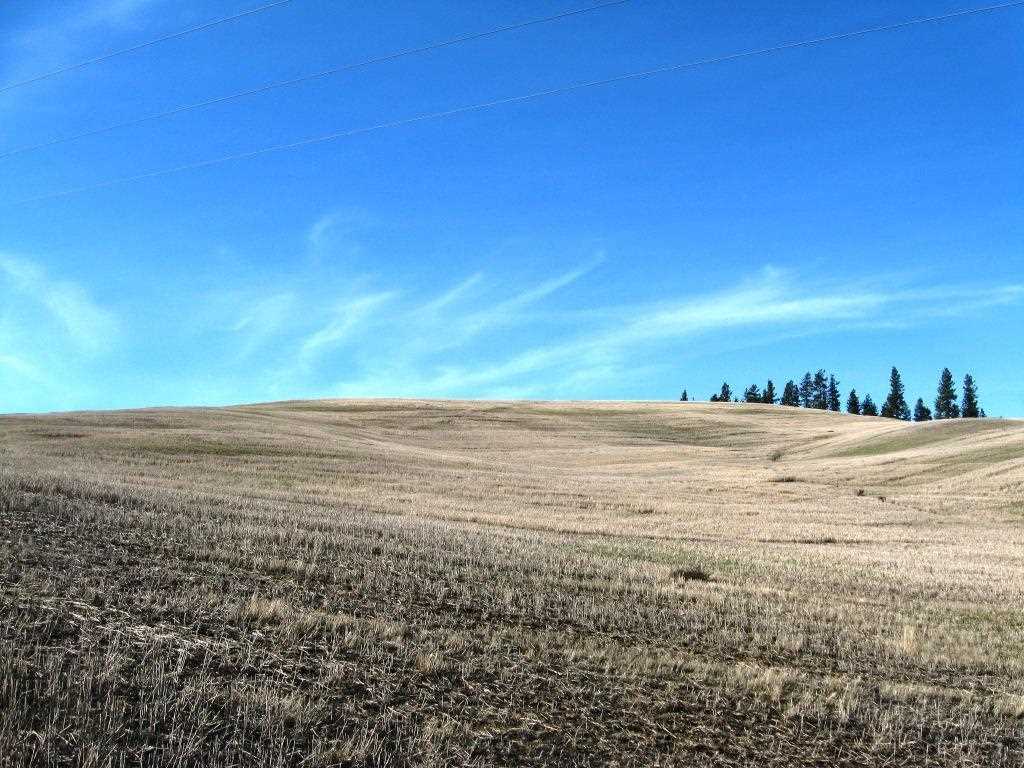 8822 West Jensen Road Cheney, WA 99004 - Photo 8 of 20