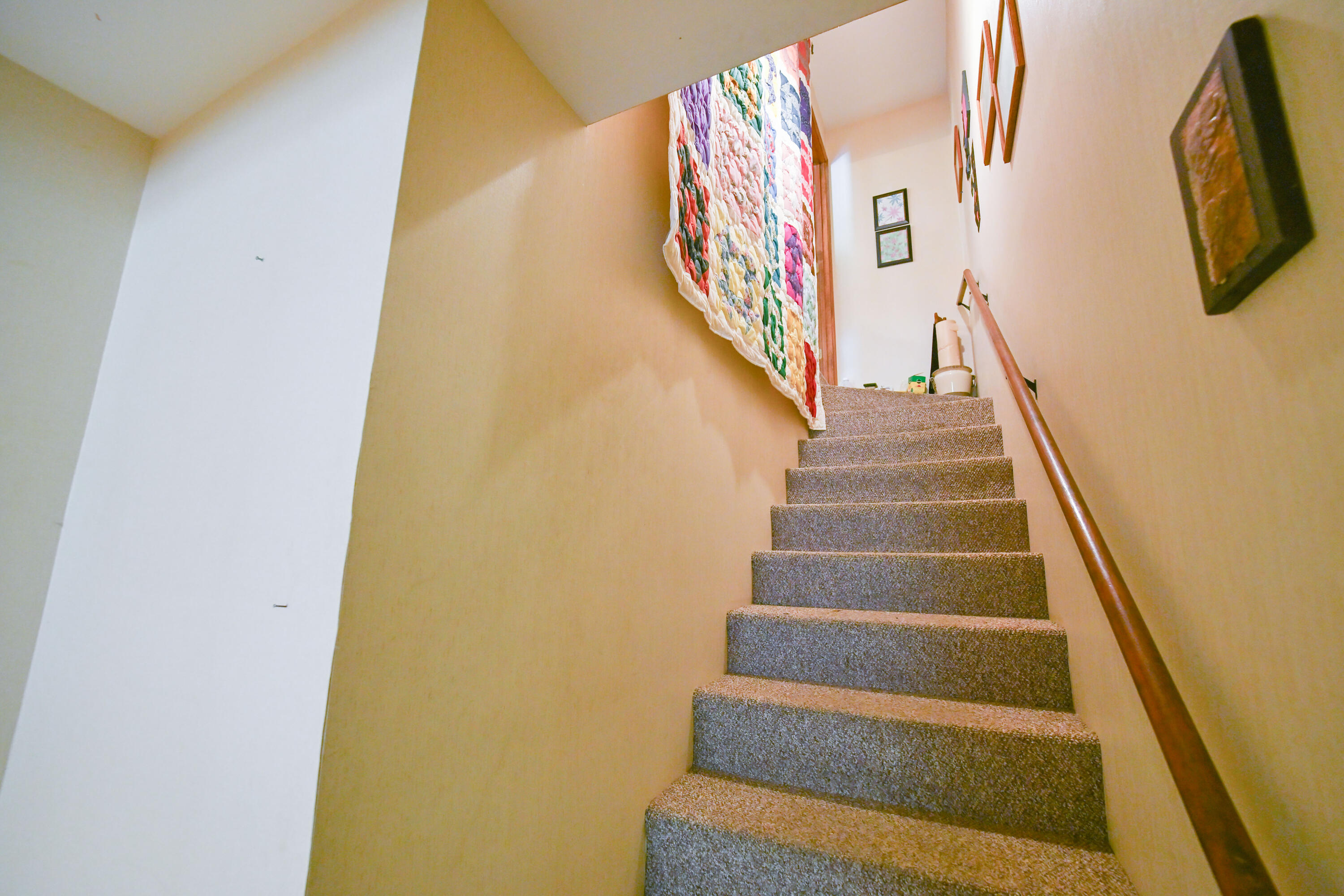 101 Willow Creek Road Paducah, KY 42003 - Photo 55 of 64 Stairway to Lower Level