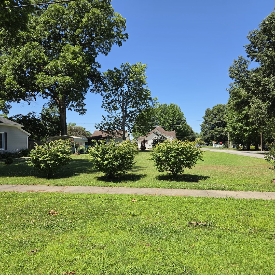 903 South Walnut Street Sesser, IL 62884 - Photo 13 of 16