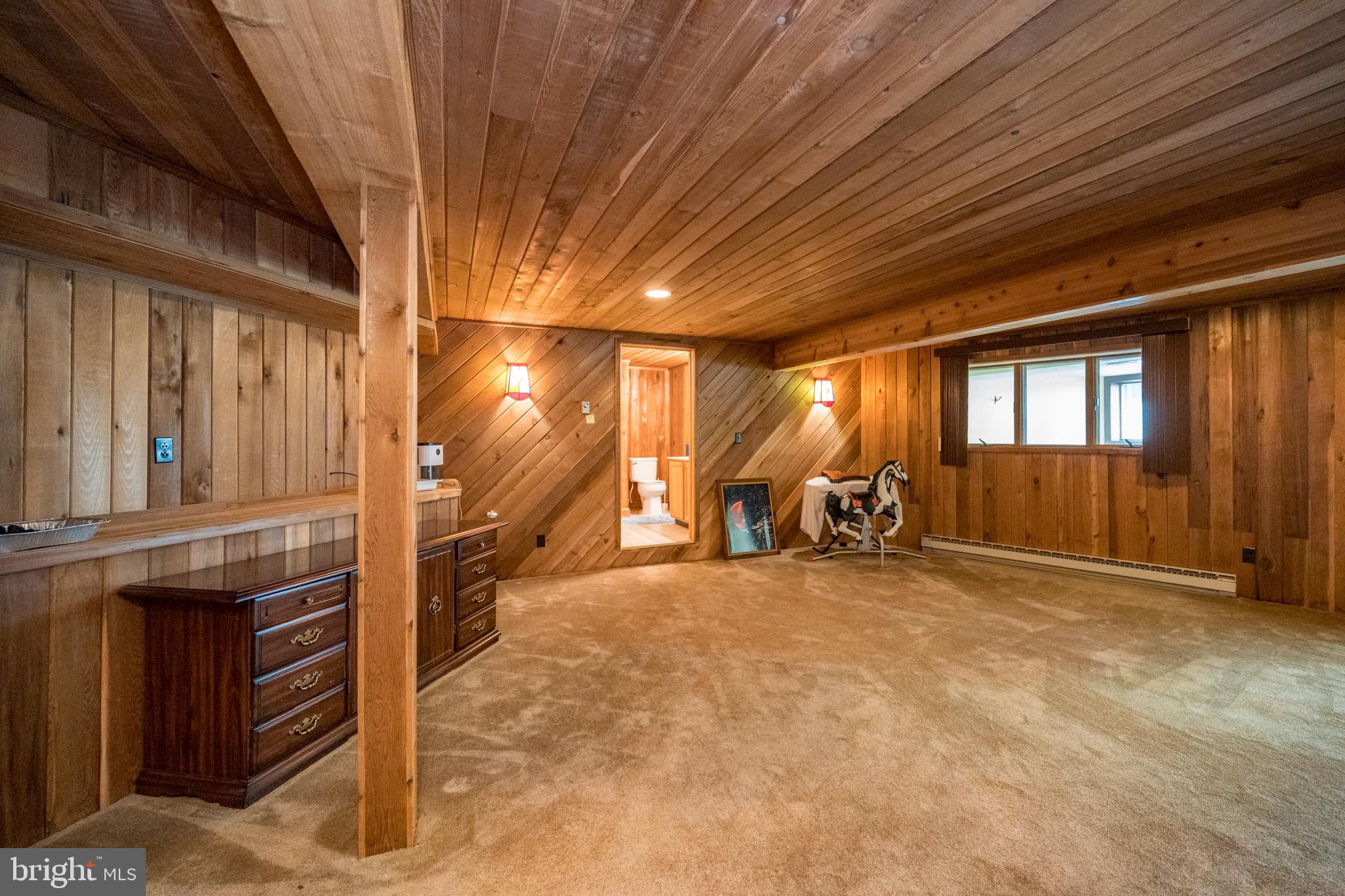 62 Duck Cove Road Oakland, MD 21550 - Photo 63 of 74 Lower Level Living Room