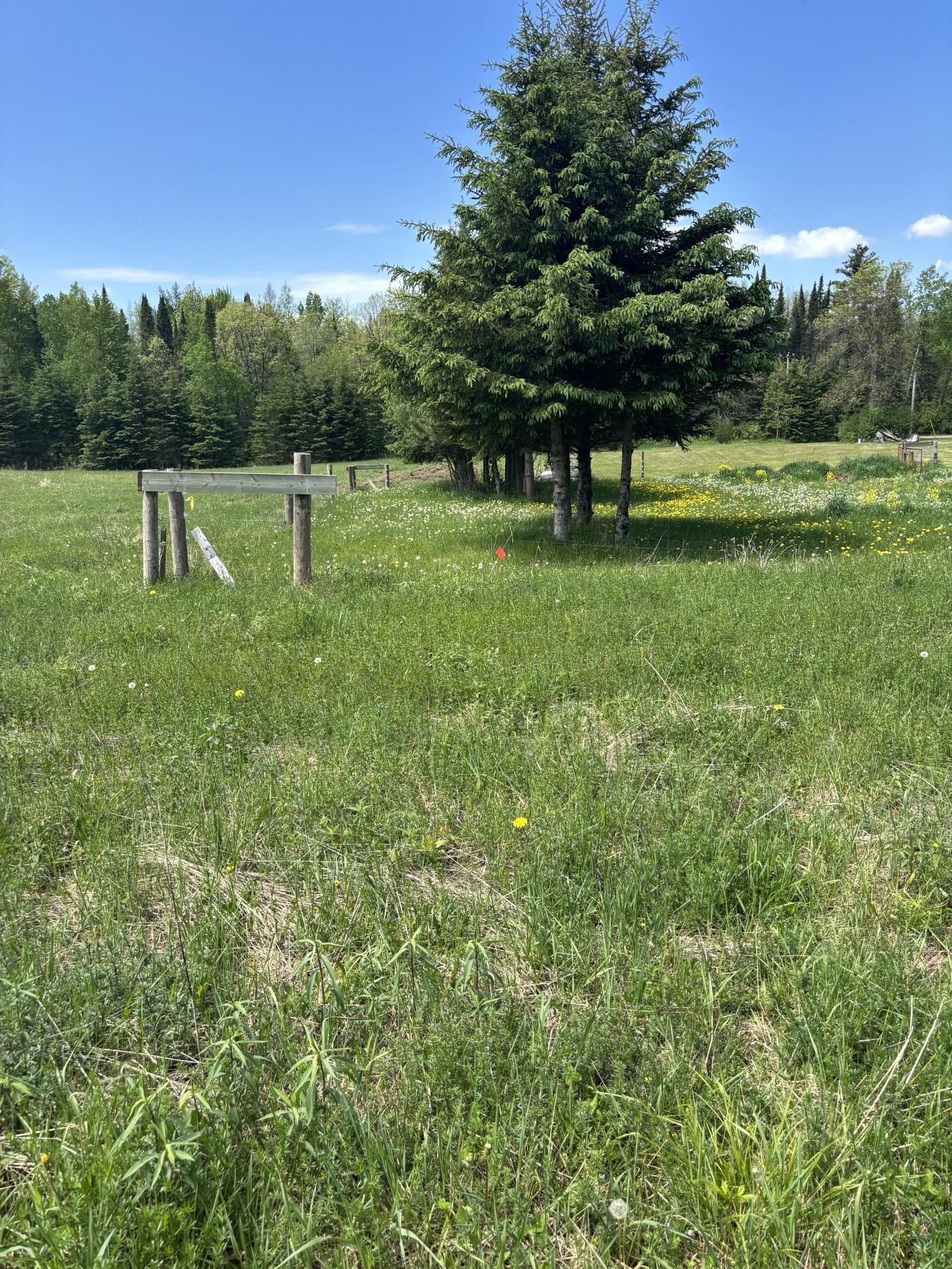 N3860 Kostka Road Ladysmith, WI 54848 - Photo 2 of 8