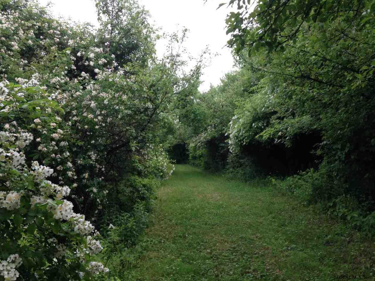 411 N Road Greenwich, NY 12834 - Photo 7 of 25 Photo 7