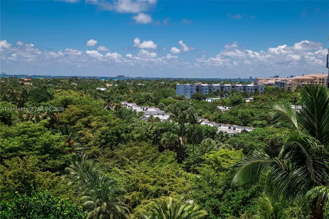 a view of a lake in middle of a forest