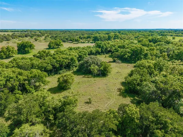 a view of a lush green space with sea