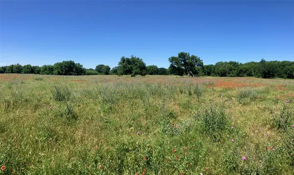 a view of a field with an ocean