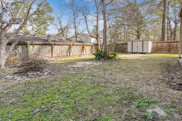 a view of a yard with a large tree and a yard