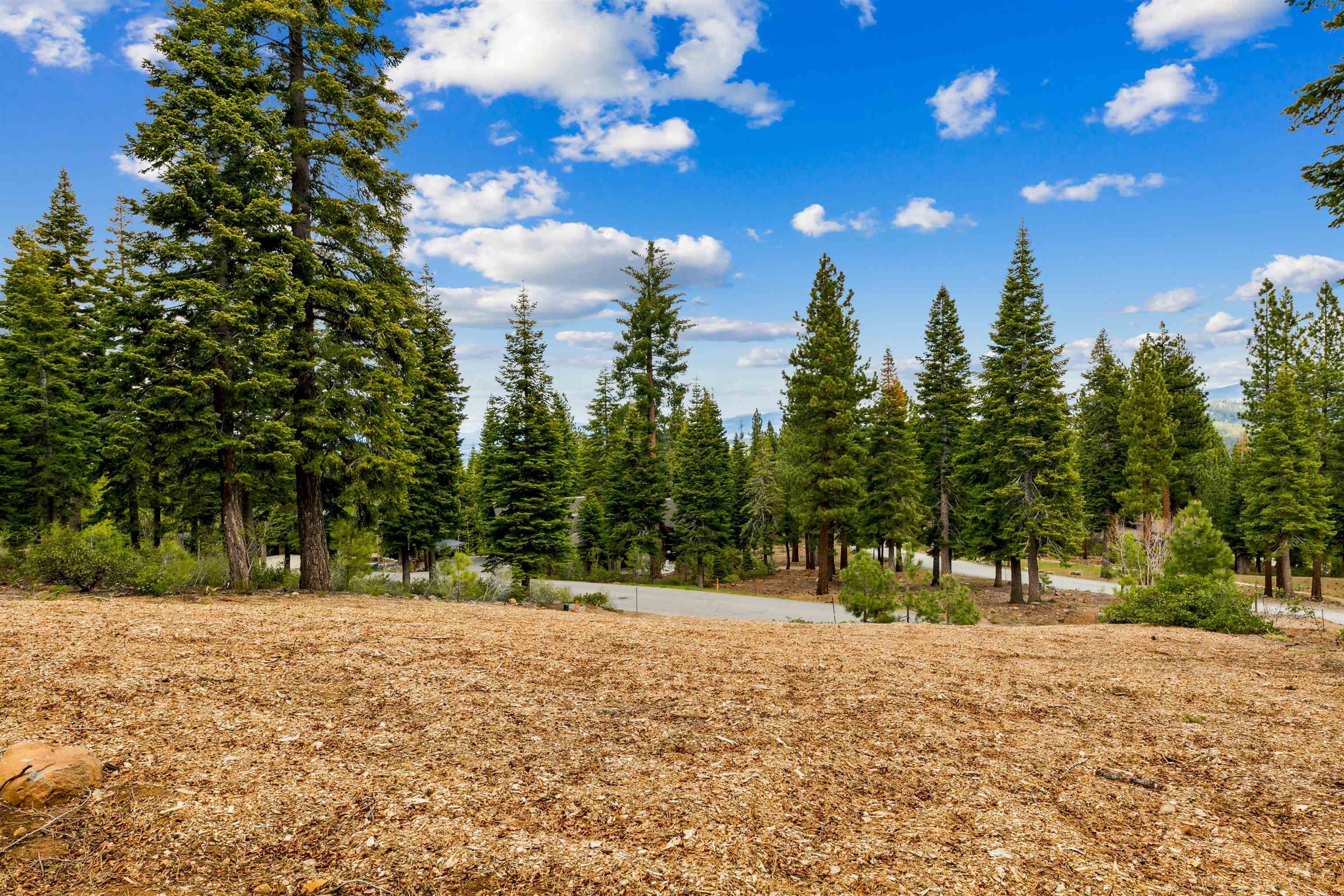 2301 Overlook Place Truckee, CA 96161 - Photo 7 of 21 a view of outdoor space with trees