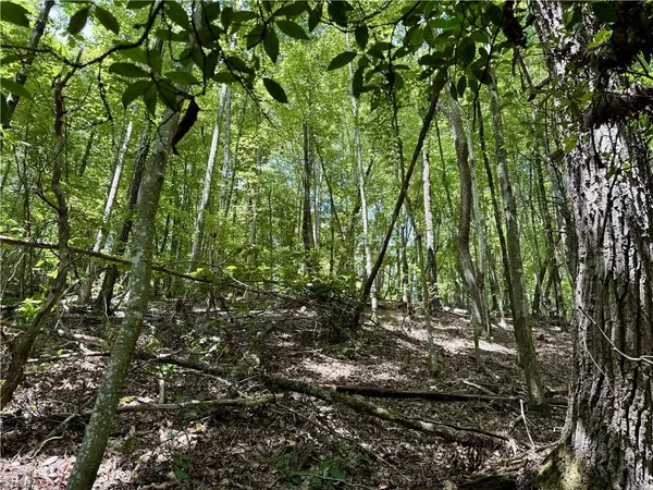 $119,900 | Tbd Tbd Widow Mountain Drive, Hays, NC 28635