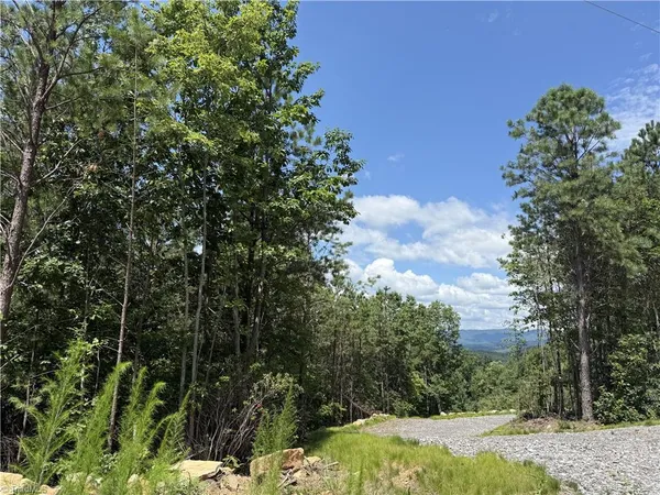 $119,900 | Tbd Tbd Widow Mountain Drive, Hays, NC 28635