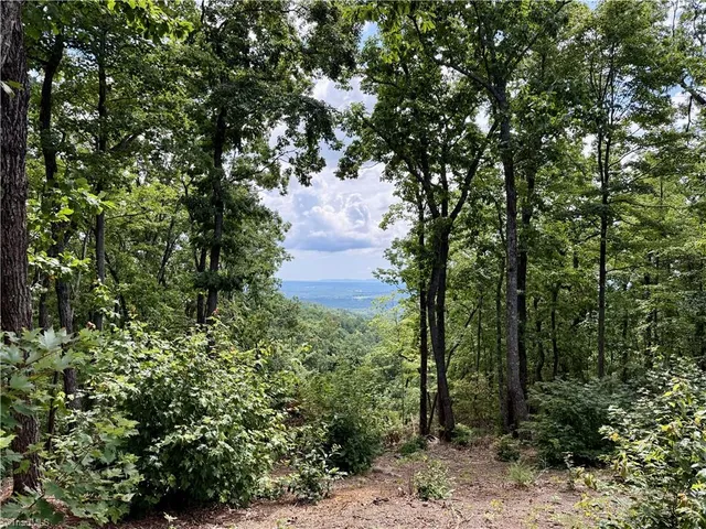 $127,300 | Tbd Tbd Widow Mountain Drive, Hays, NC 28635