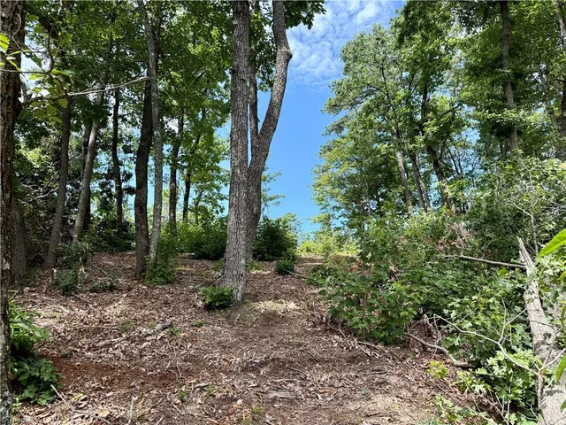$127,300 | Tbd Tbd Widow Mountain Drive, Hays, NC 28635