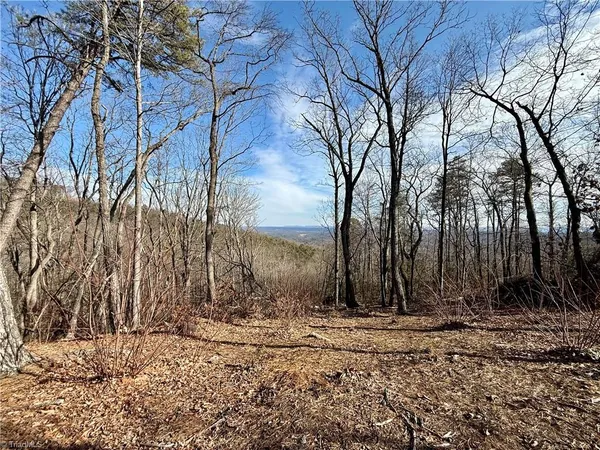 $119,900 | Tbd Tbd Widow Mountain Drive, Hays, NC 28635