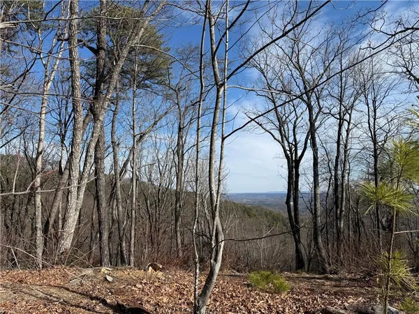 $119,900 | Tbd Tbd Widow Mountain Drive, Hays, NC 28635