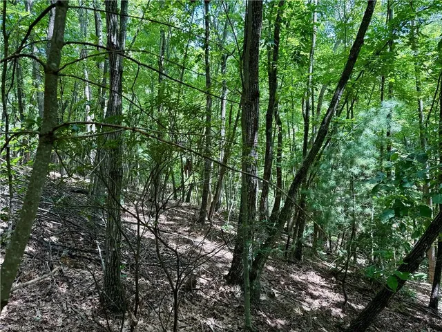 $127,300 | Tbd Tbd Widow Mountain Drive, Hays, NC 28635