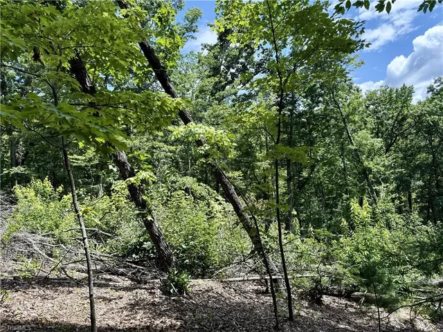 $127,300 | Tbd Tbd Widow Mountain Drive, Hays, NC 28635