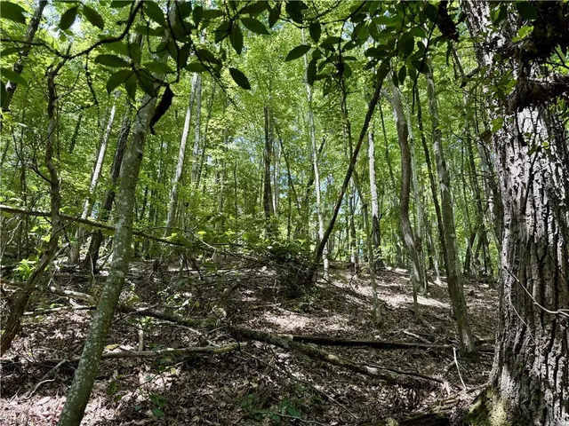 $127,300 | Tbd Tbd Widow Mountain Drive, Hays, NC 28635