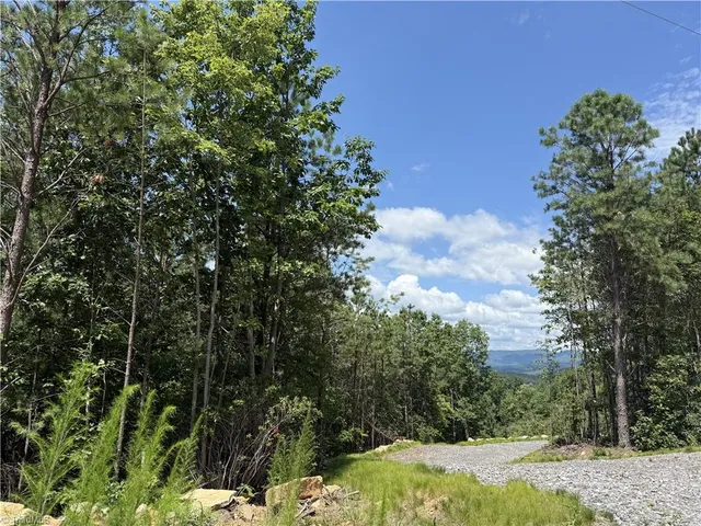 $127,300 | Tbd Tbd Widow Mountain Drive, Hays, NC 28635