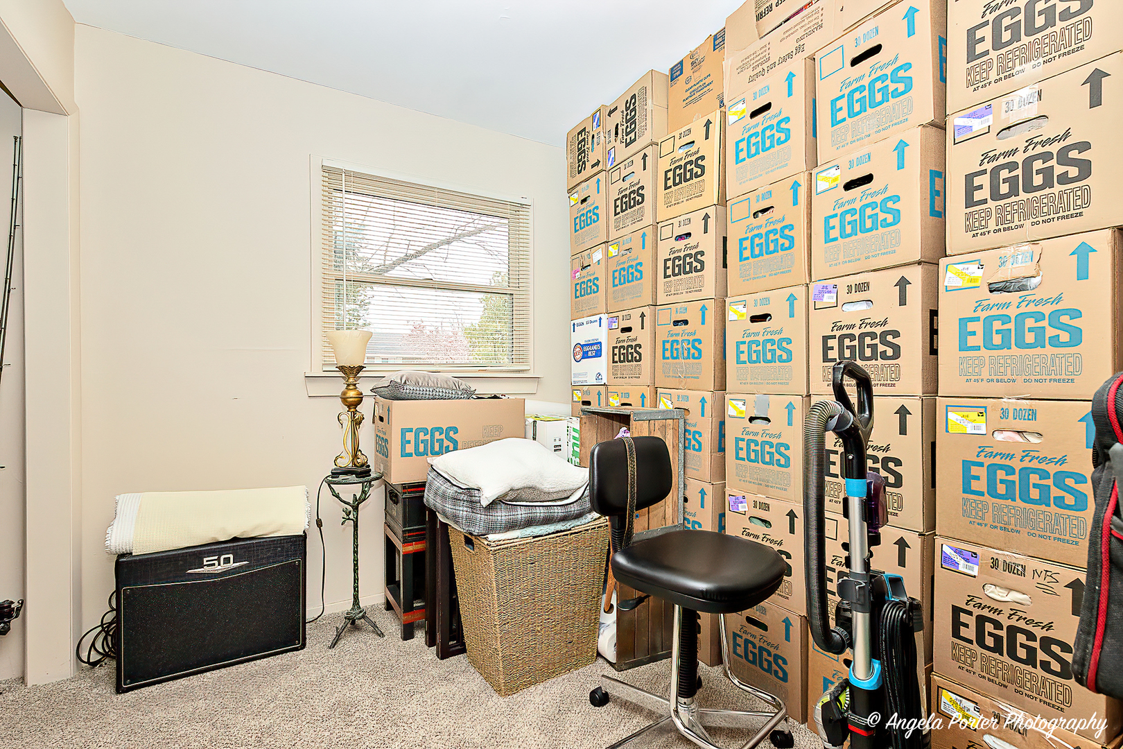 390 Willow Road Wauconda, IL 60084 - Photo 20 of 26 a room with storage and utility