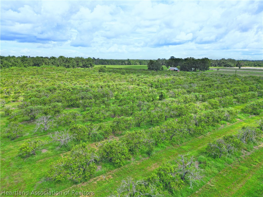 Center Road Bowling Green, FL 33834 - Photo 3 of 8 Gallery Image 3