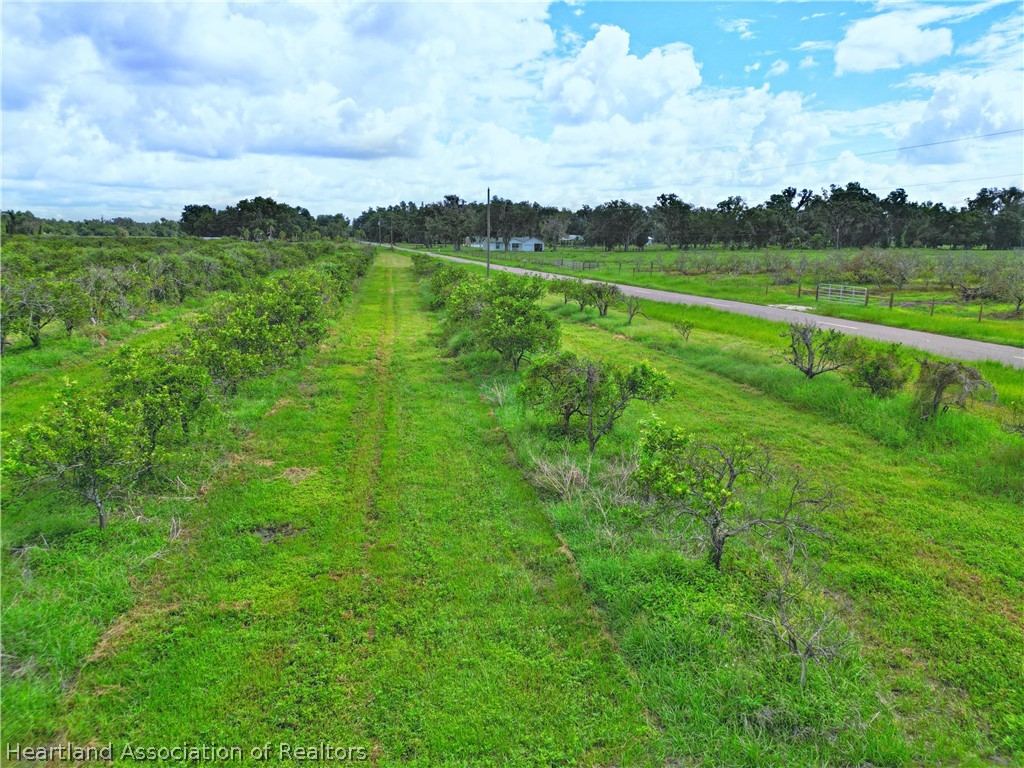 Center Road Bowling Green, FL 33834 - Photo 6 of 8 Gallery Image 6