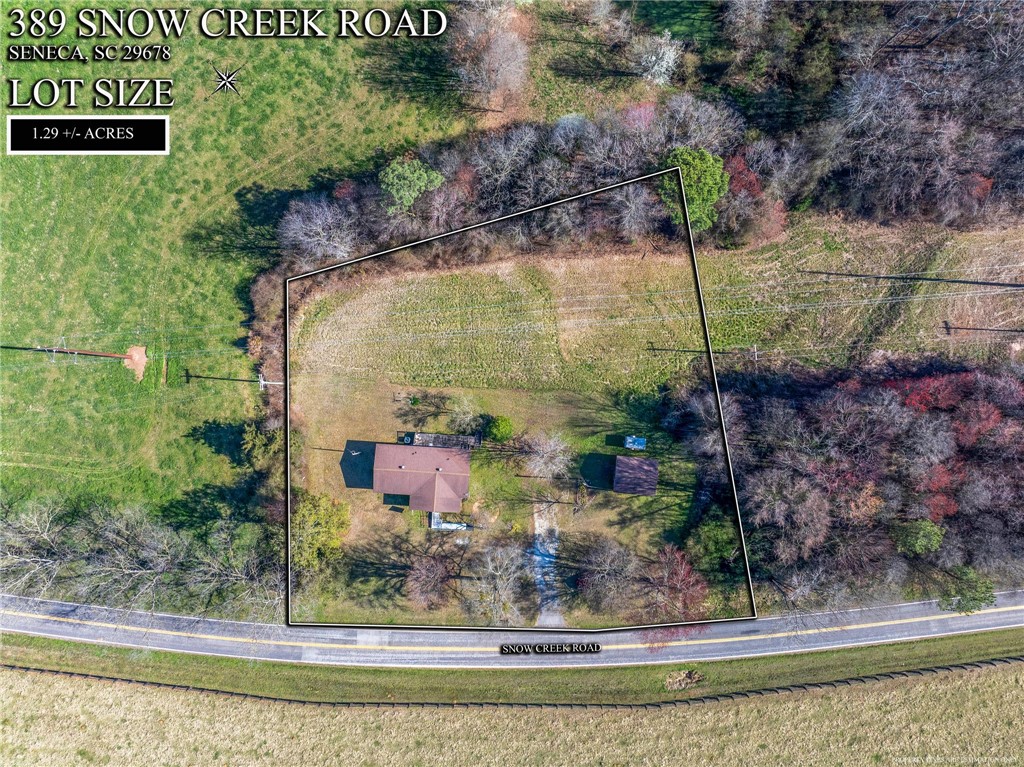 389 Snow Creek Road Seneca, SC 29678 - Photo 7 of 17