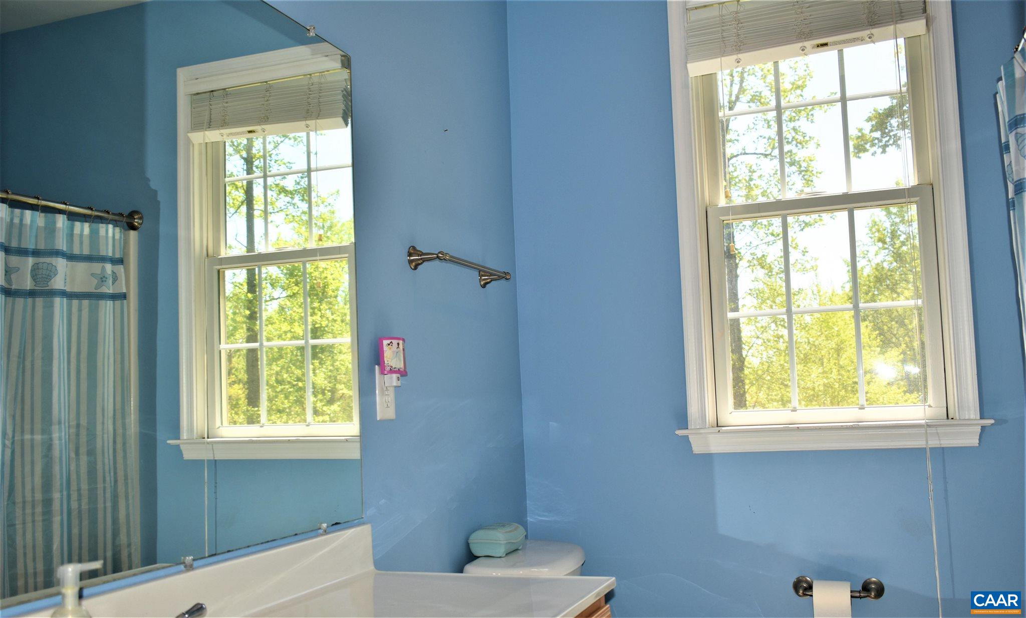 1333 Middle River Road Stanardsville, VA 22973 - Photo 11 of 31 a bathroom with a window bathtub and shower