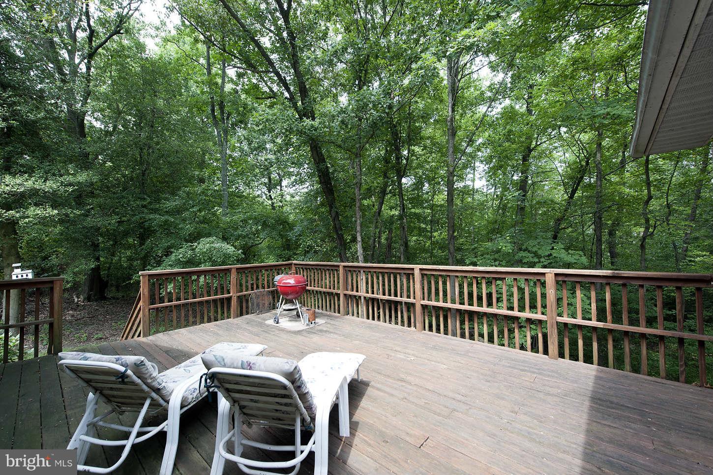 9601 Dangerfield Road Clinton, MD 20735 - Photo 28 of 29 Exterior (Rear)