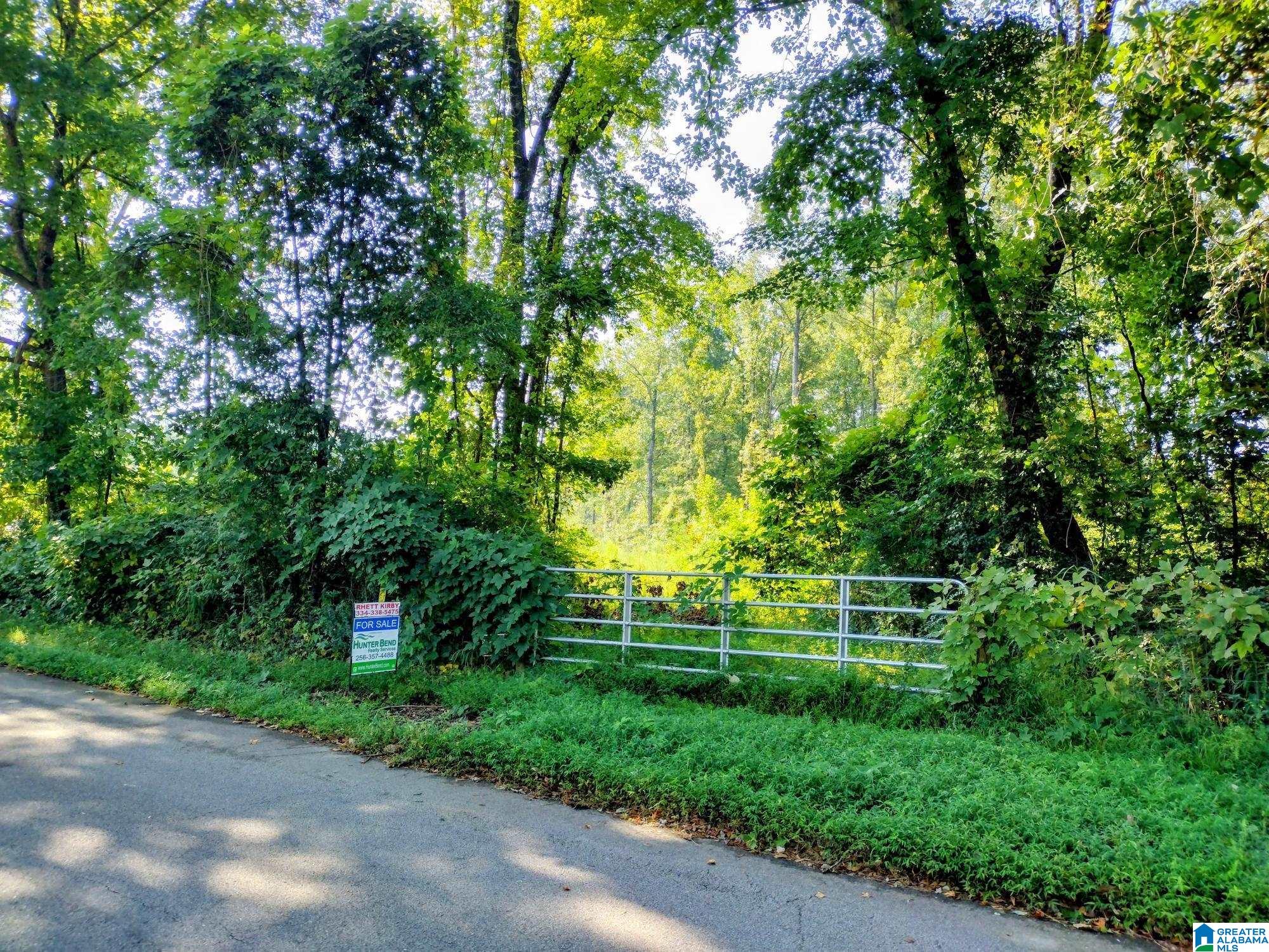 0 Fincher Road Roanoke, AL 36274 - Photo 6 of 9