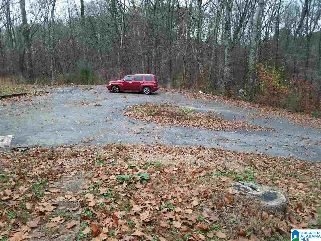 2335 Warrior Valley Road Altoona, AL 35952 - Photo 11 of 42