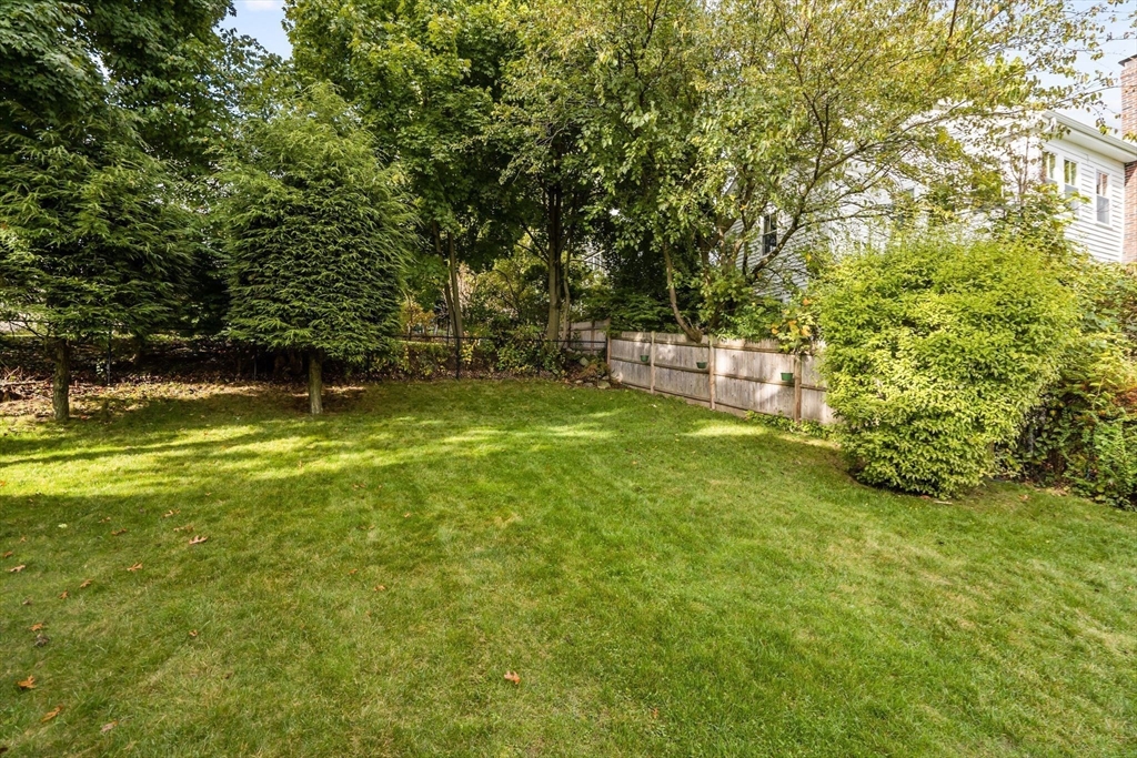 29 Walnut Terrace Arlington, MA 02476 - Photo 35 of 41 a view of a yard with a tree