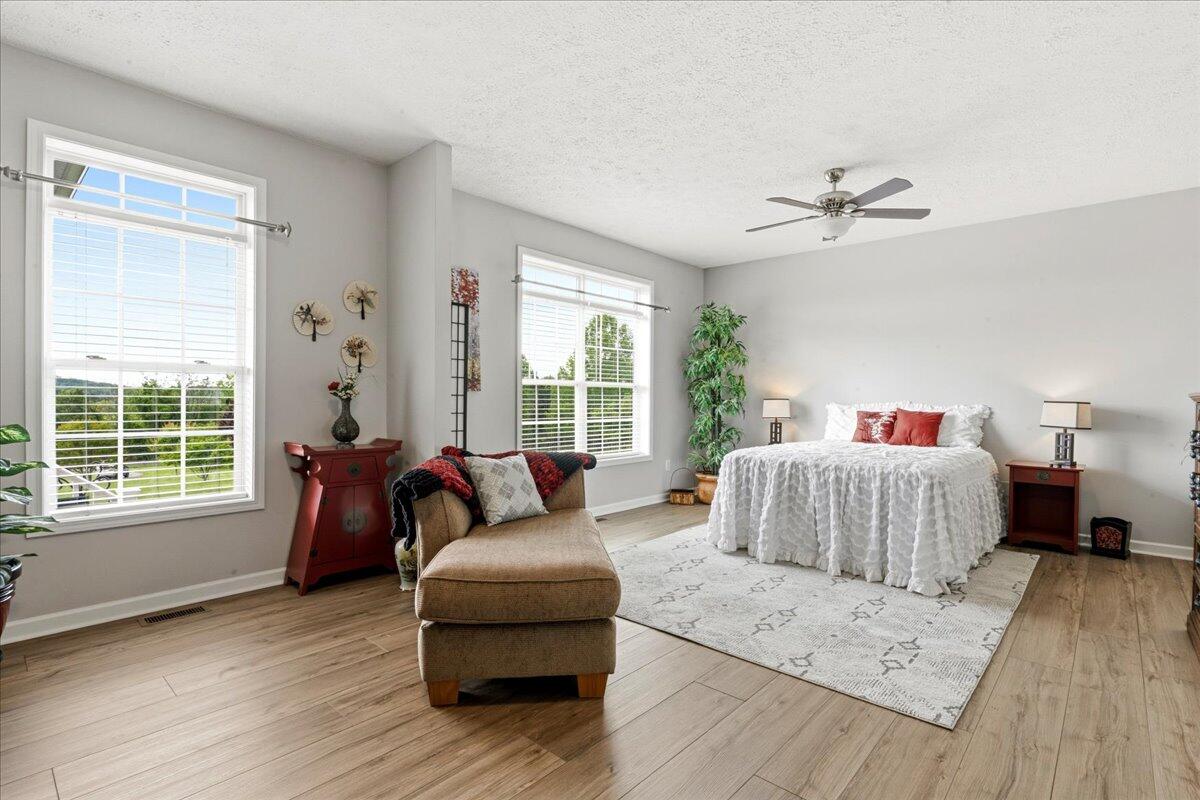 218 Mt Moriah Road Eagle Rock, VA 24085 - Photo 16 of 38 a spacious bedroom with a bed and wooden floor