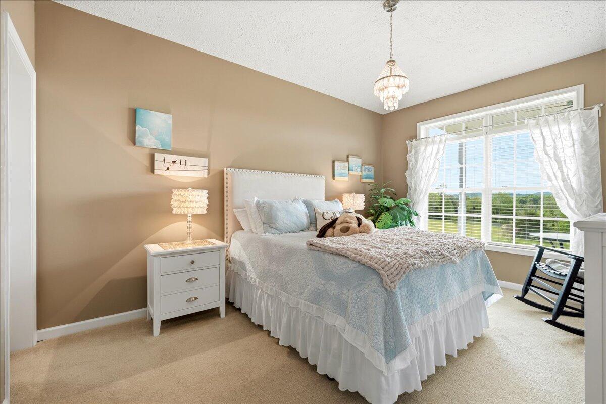 218 Mt Moriah Road Eagle Rock, VA 24085 - Photo 23 of 38 a bed room with a bed and a window