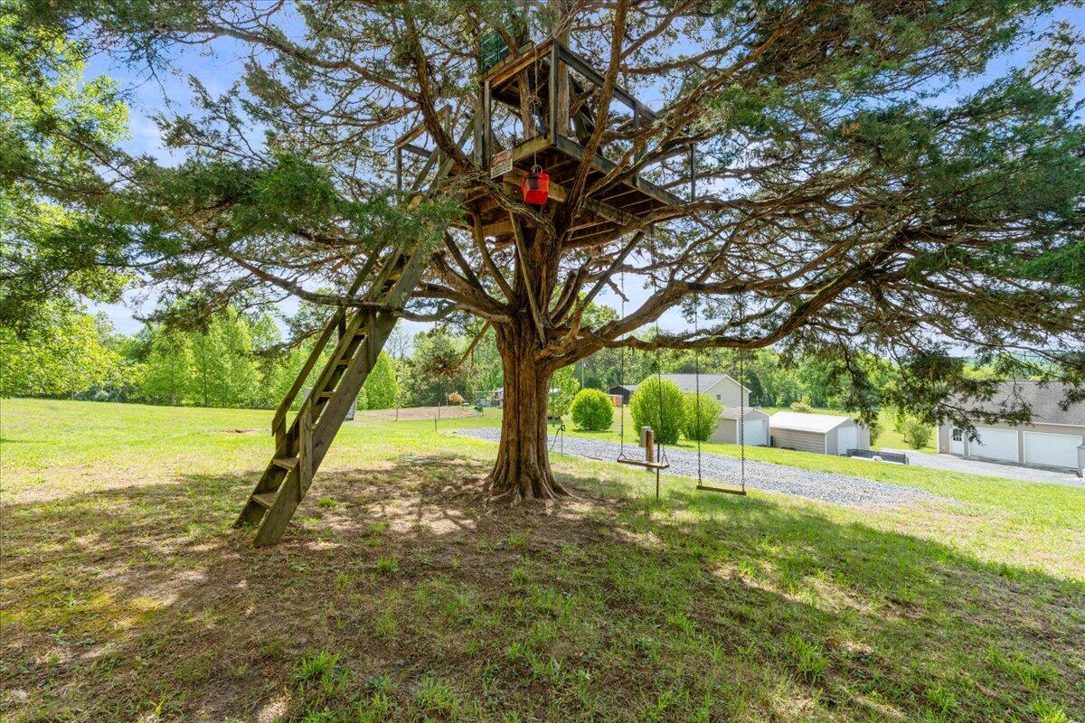 218 Mt Moriah Road Eagle Rock, VA 24085 - Photo 26 of 38 a view of yard with tree