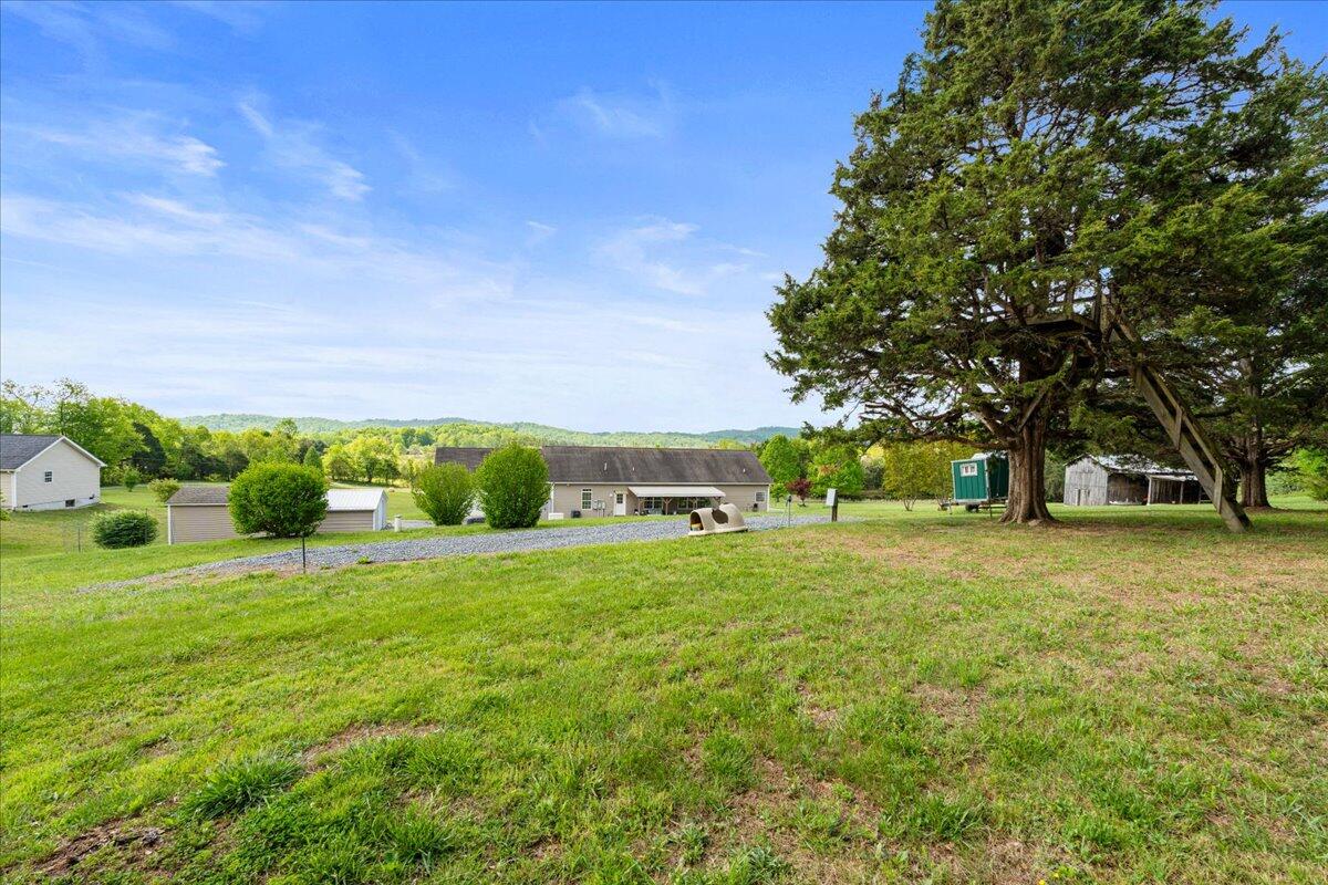 218 Mt Moriah Road Eagle Rock, VA 24085 - Photo 30 of 38 a row yard with large trees