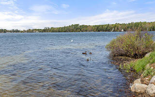 190 Georges Pond Road Franklin, ME 04634 - Photo 43 of 53 IMG_2093