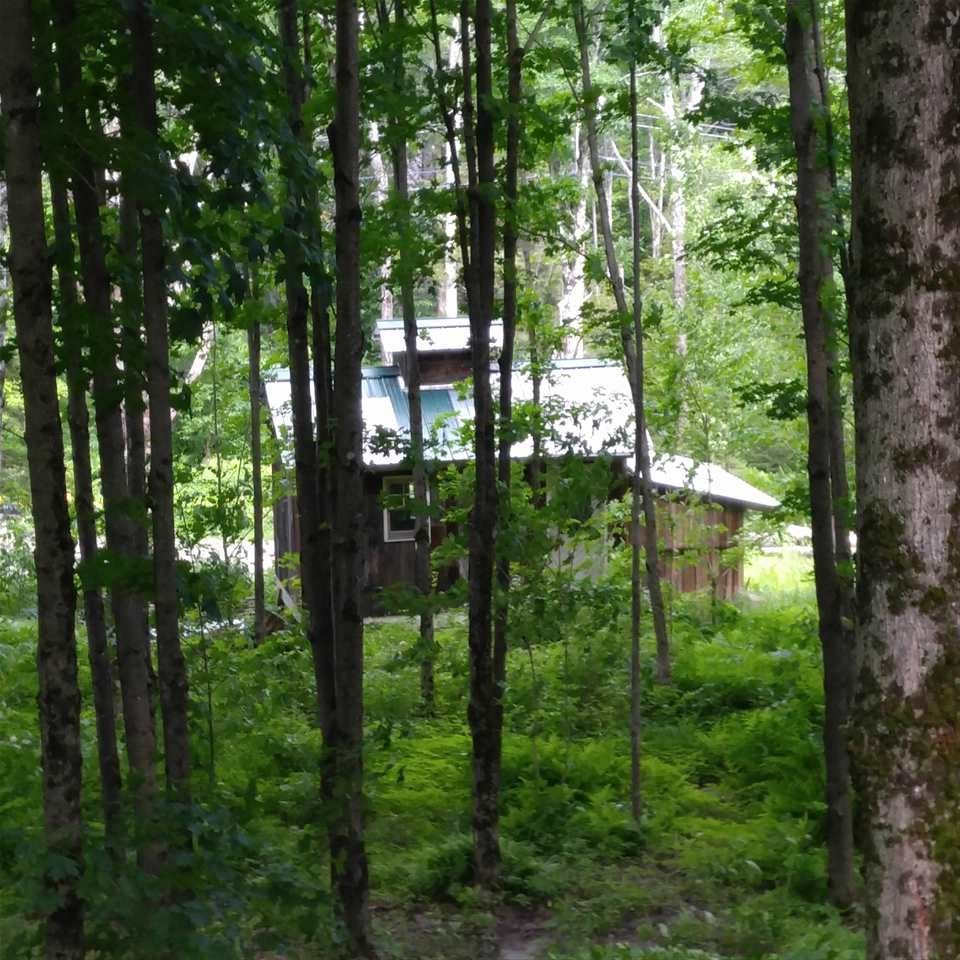 833 County Road Lincoln, VT 05443 - Photo 37 of 38
