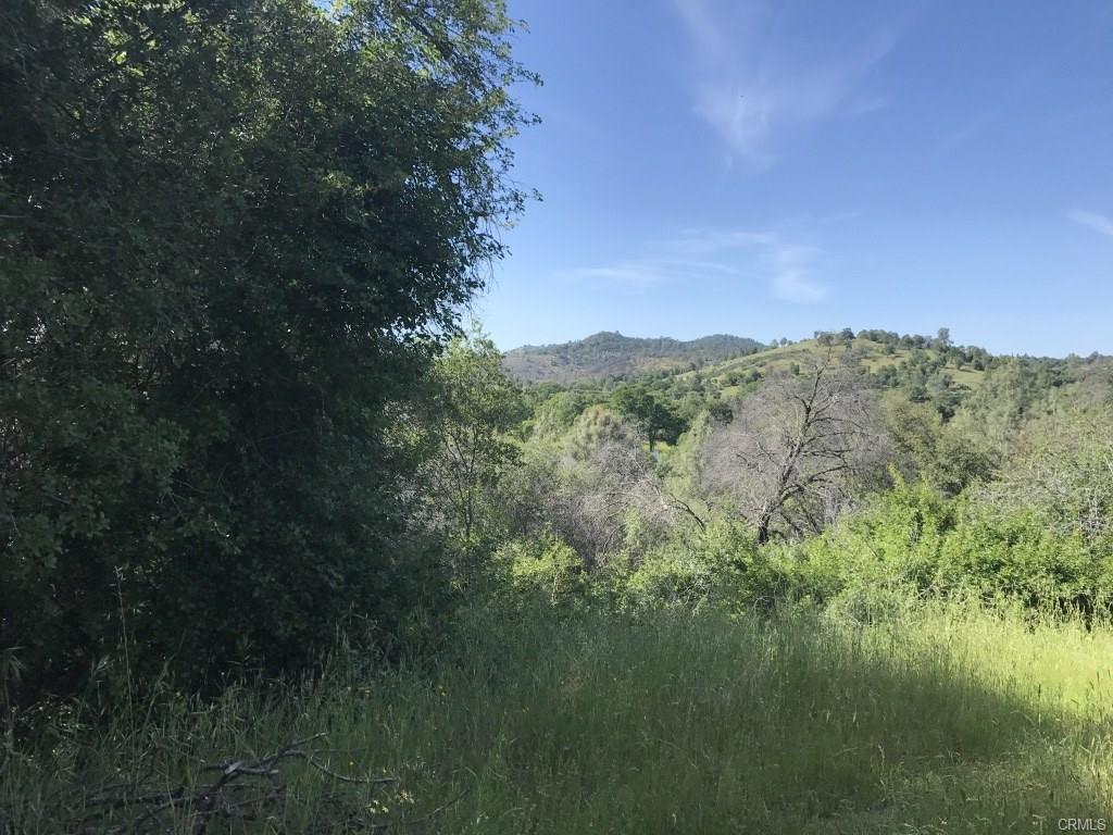0 Spring Creek Road Mariposa, CA 95338 - Photo 14 of 14 Gallery Image 14