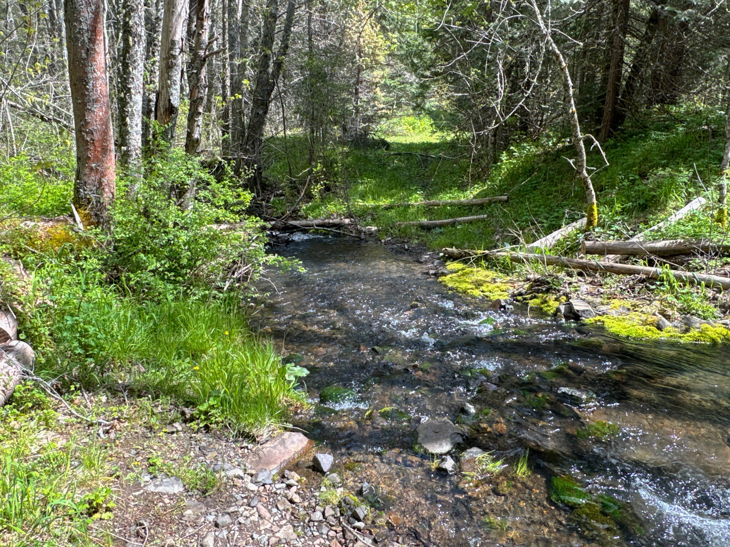 0 Buckhorn Springs Road Ashland, OR 97520 - Photo 35 of 39 Final (36)