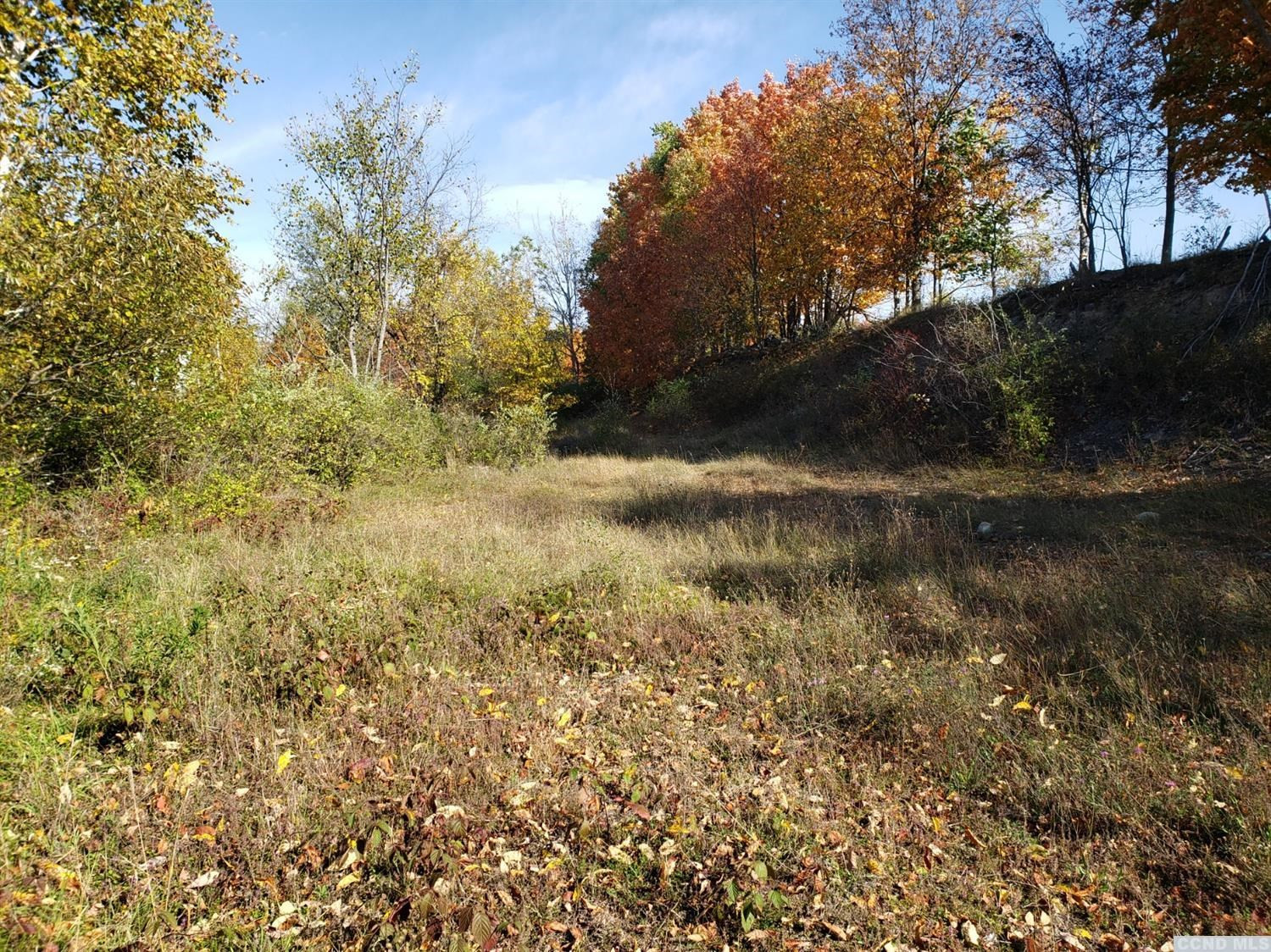 0 Stewart Road Berne, NY 12023 - Photo 3 of 13 Photo 3
