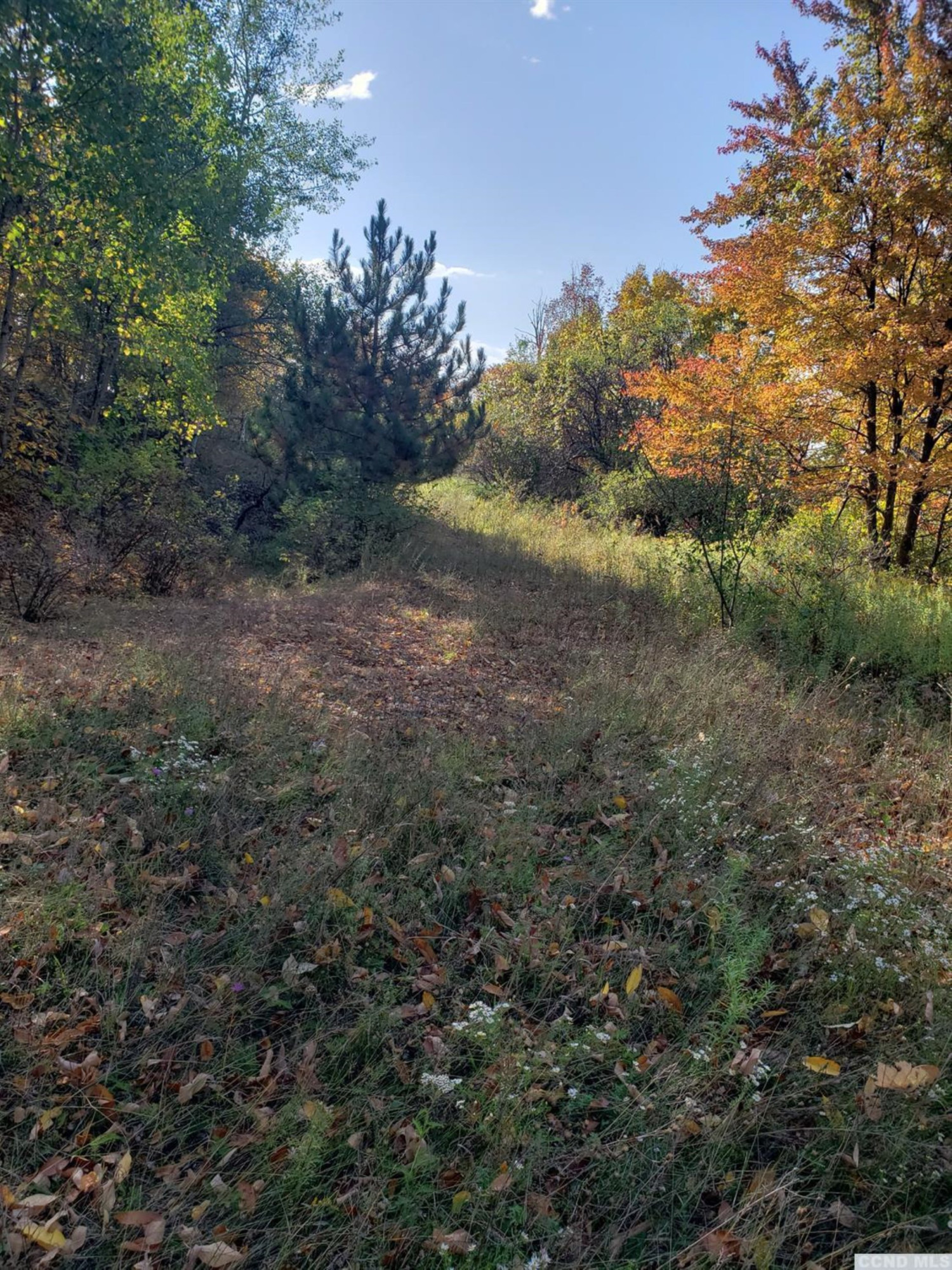 0 Stewart Road Berne, NY 12023 - Photo 5 of 13 Photo 5