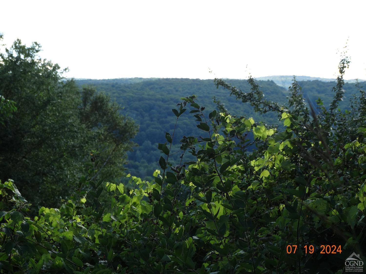 0 Stewart Road Berne, NY 12023 - Photo 6 of 13 Photo 6