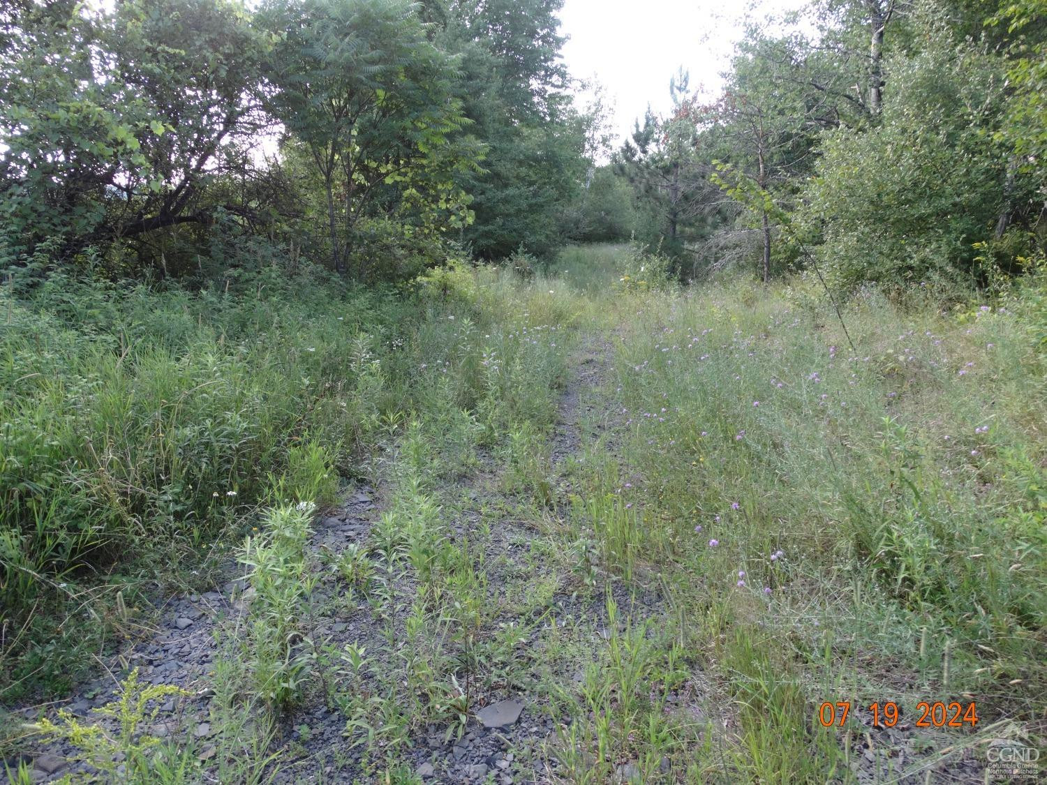 0 Stewart Road Berne, NY 12023 - Photo 9 of 13 Photo 9