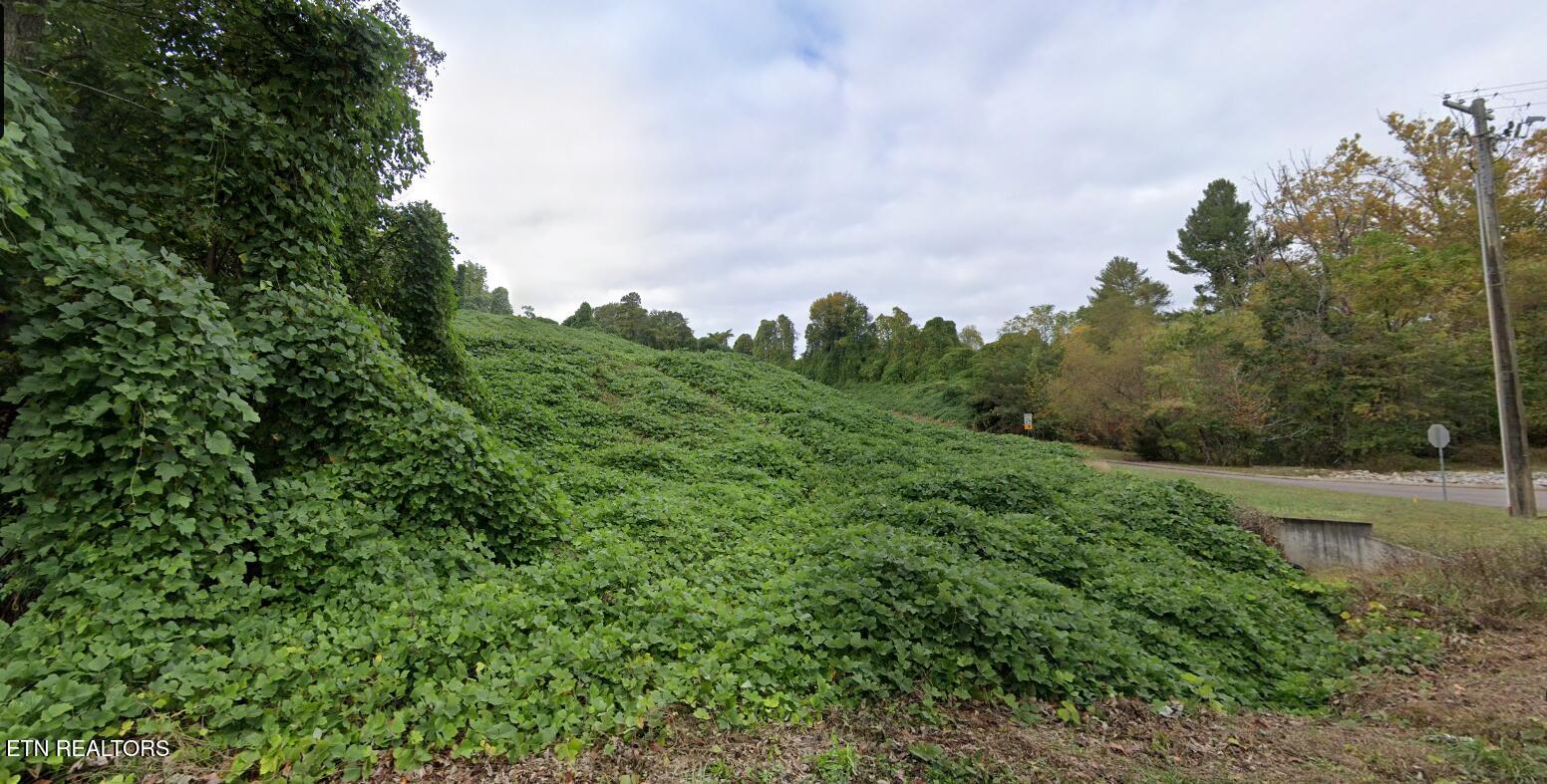 8548 Zinc Road Knoxville, TN 37938 - Photo 2 of 10 Zinc on both sides of the road