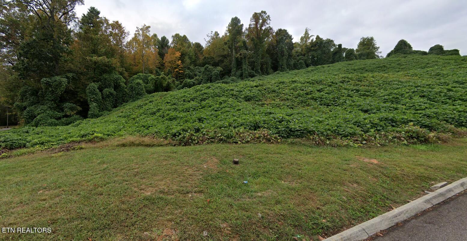 8548 Zinc Road Knoxville, TN 37938 - Photo 3 of 10 Corner of Zinc