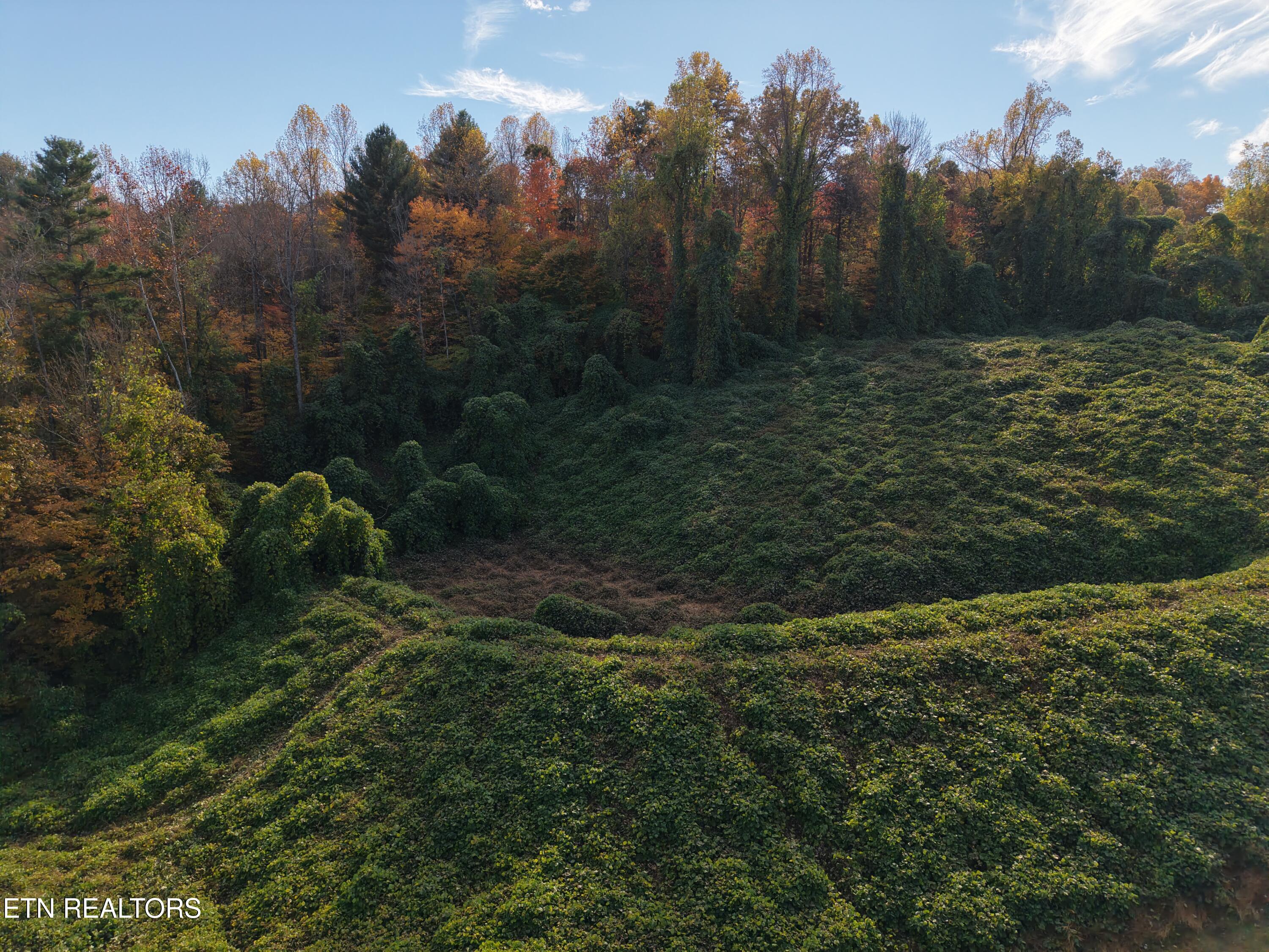 8548 Zinc Road Knoxville, TN 37938 - Photo 8 of 10 DJI_20251105140819_0006_D